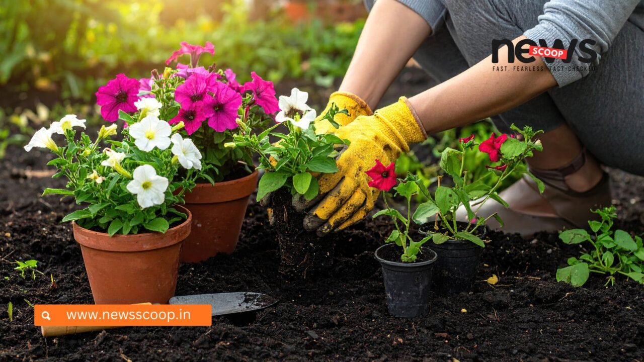 India-Israel Ties: इजराइल की धरती पर गूंजा एक पेड़ मां के नाम का संदेश; यहूदी त्योहार तू बिश्वत पर कोचीन यहूदियों के गांव में लगे 300 पौधे